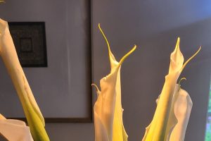close up of flowers in vase yellow
