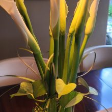 close up of flowers in vase yellow