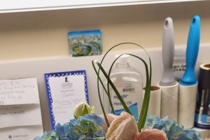 close up of pink, peach and blue flowers in a vase on a desk