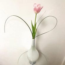 A single tulip in a vase