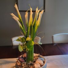 Lilies